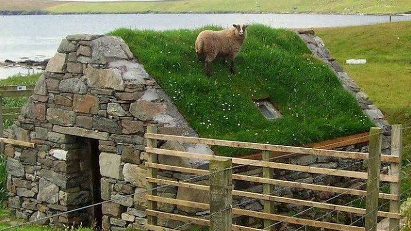 Green Roof