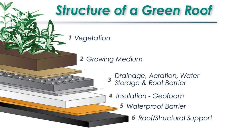 Green Roof Structure
